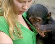 Images 9 4